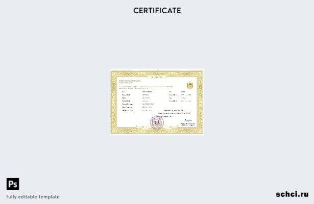 скачать в цифровом формате шаблон свидетельства о браке Государства Палестина